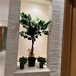 Apparemment De Luxe Decore Avec Gout