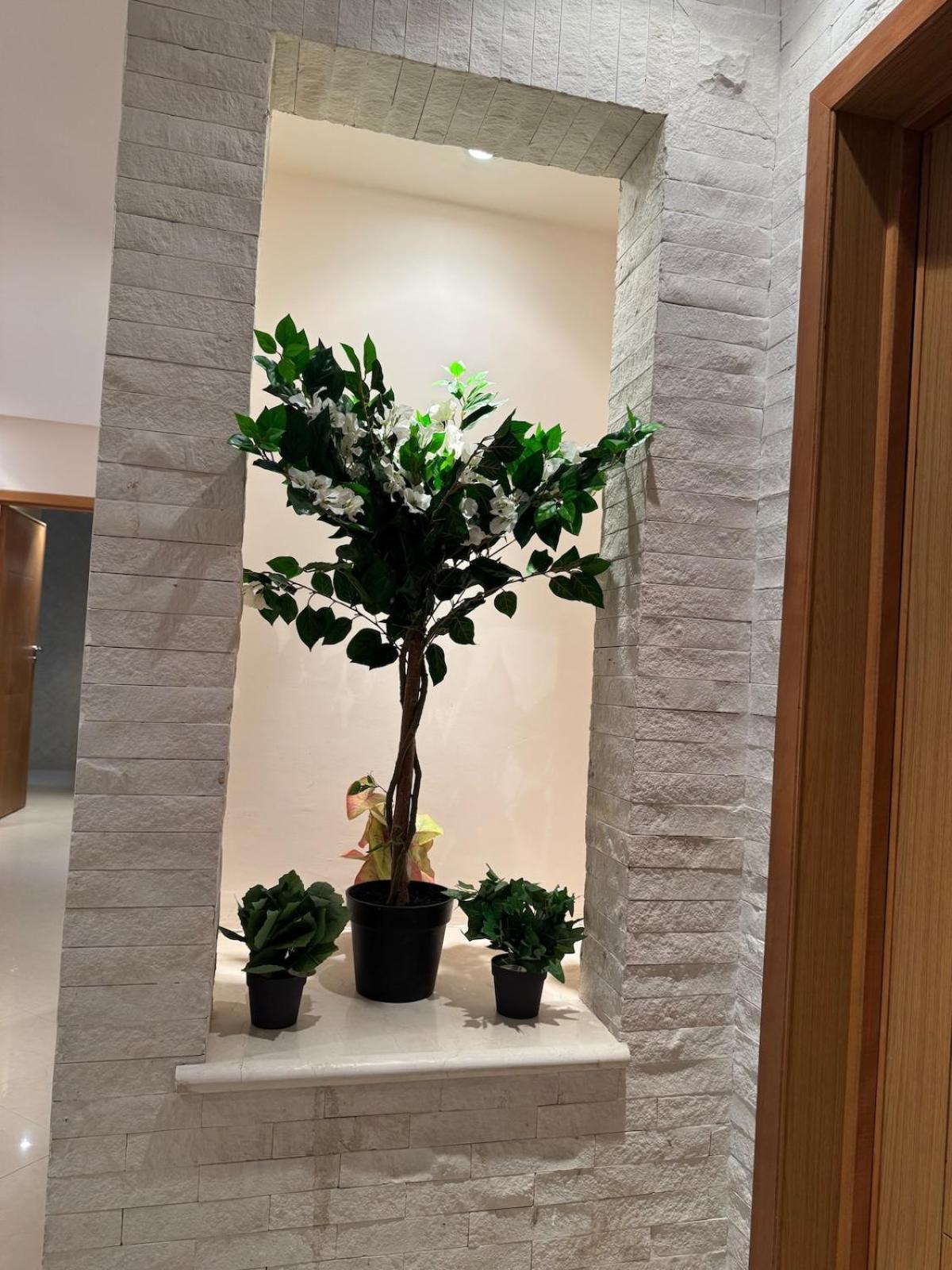 Apparemment De Luxe Decore Avec Gout Agadir