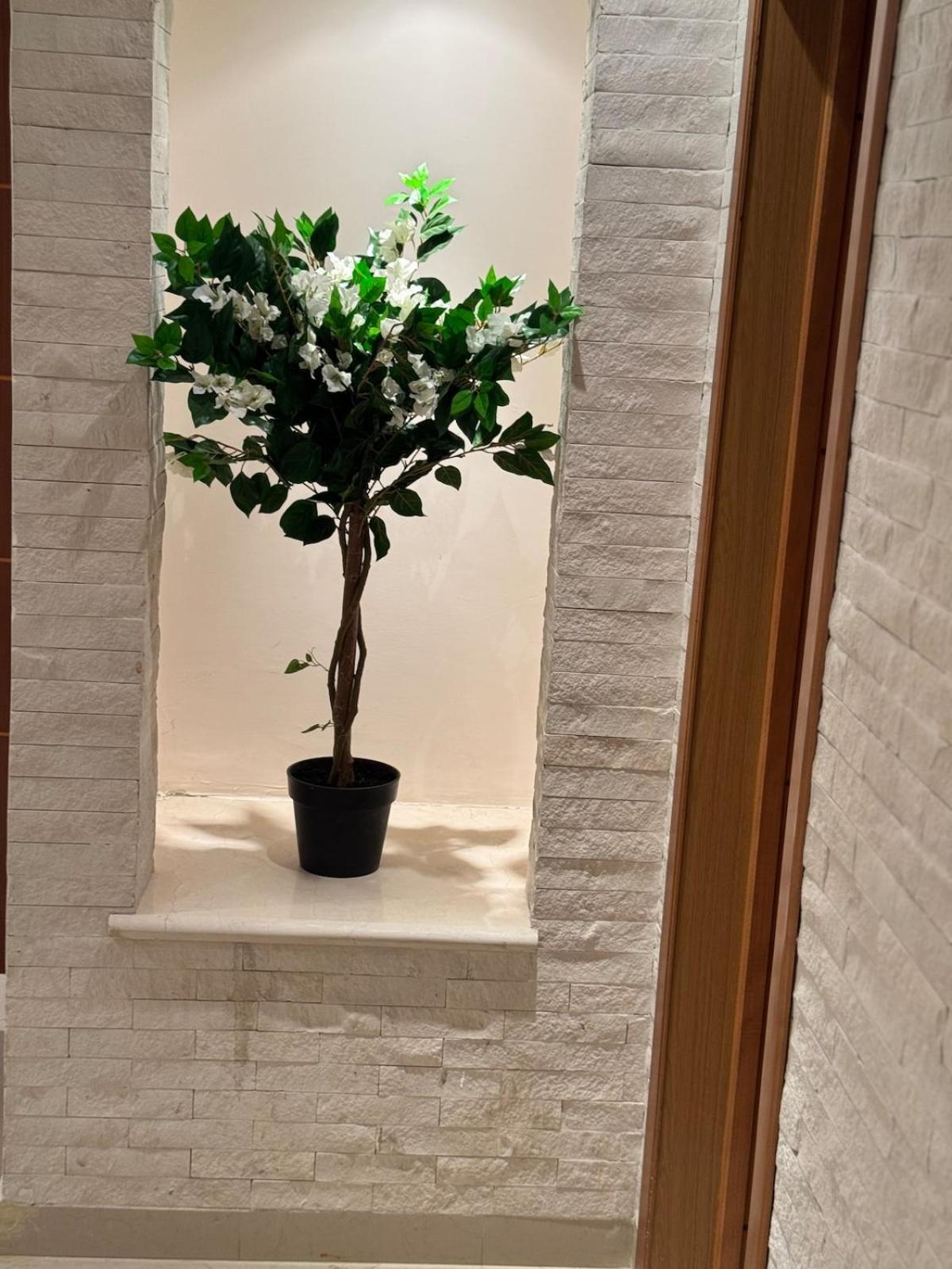 Apparemment De Luxe Decore Avec Gout *